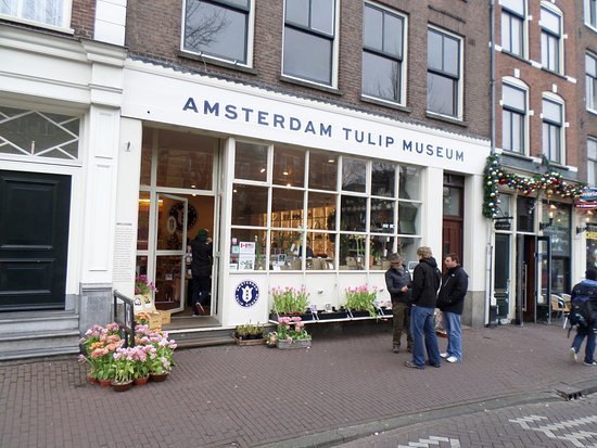 Place Amsterdam Tulip Museum