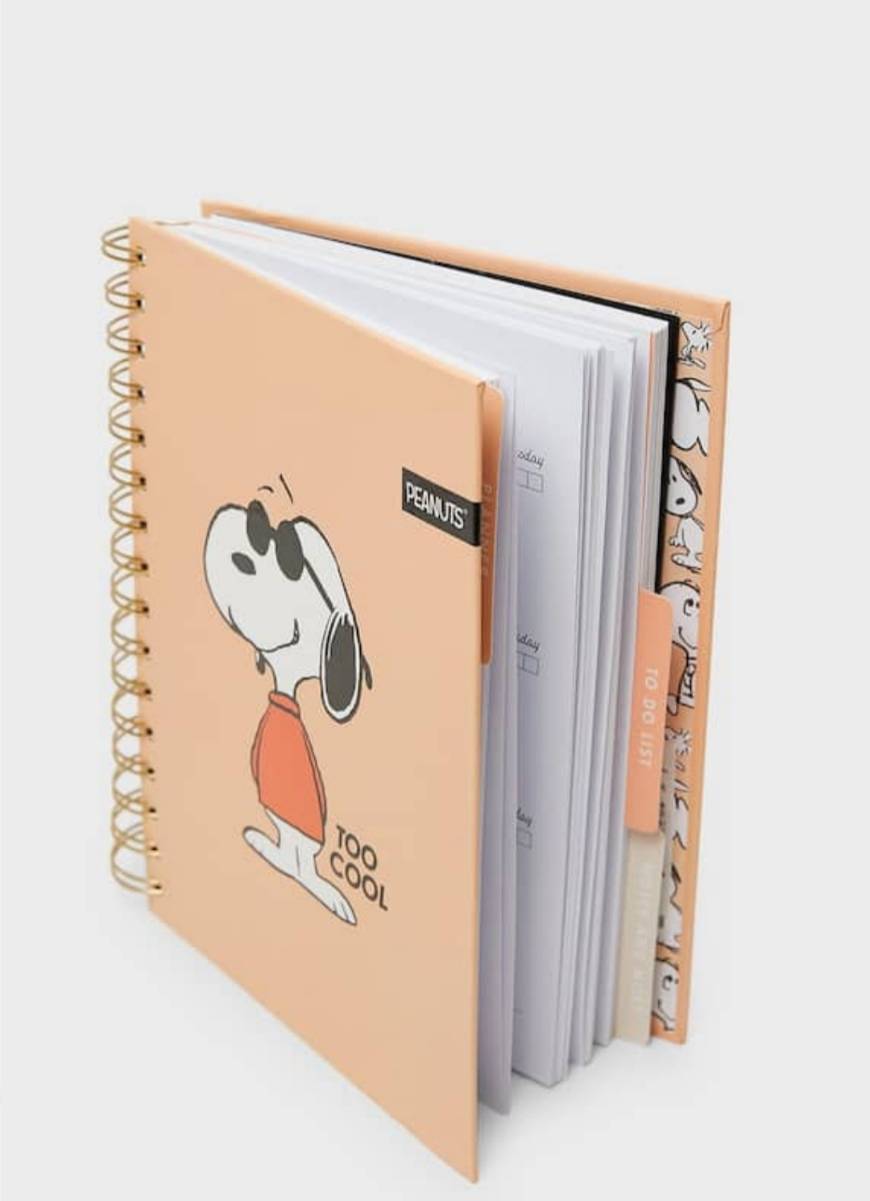 Productos Planner do snoopy 