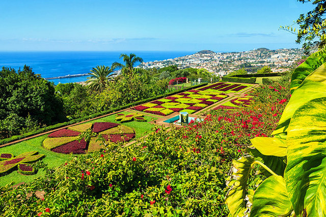 Lugar Jardim Botânico