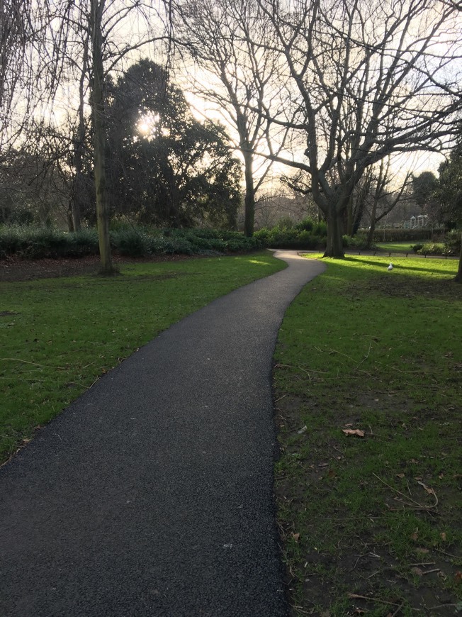 Place St. Stephen's Green