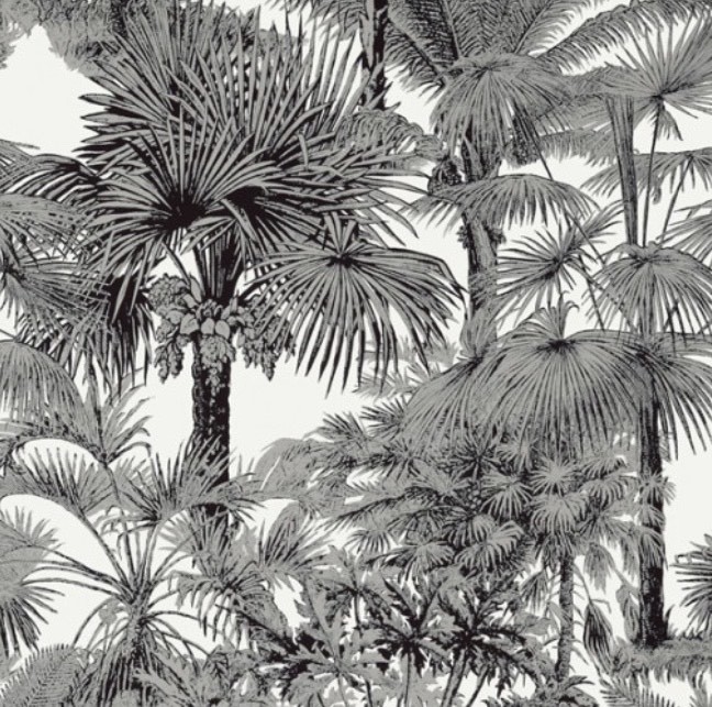 Moda Papel de parede Palm Botanical black 