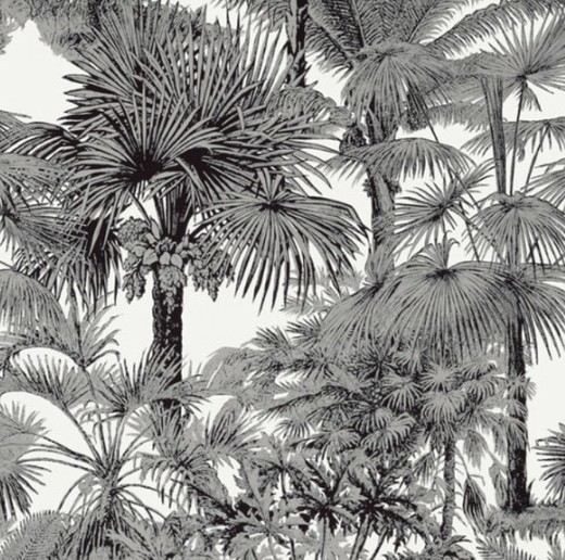 Papel de parede Palm Botanical black 