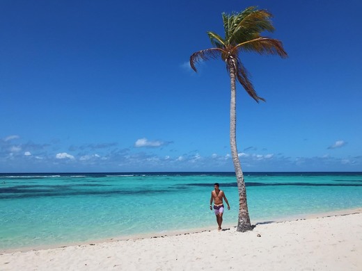 Isla Saona