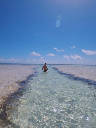 Bavaro Punta Cana