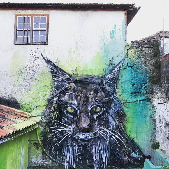 Carmo 81