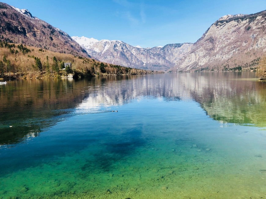 Place Lago Bohinj