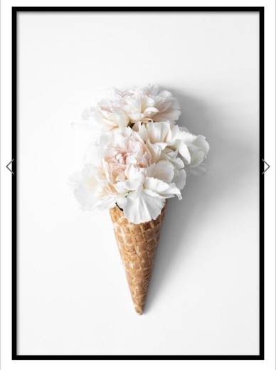 Flower Cone Poster