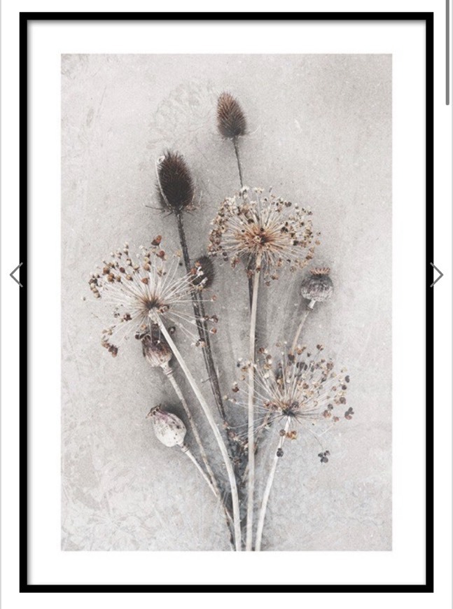 Producto Dried Bunch of Flowers Poster