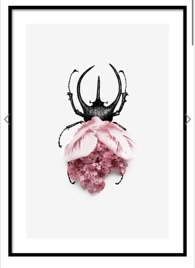 Products Flower Bug Poster