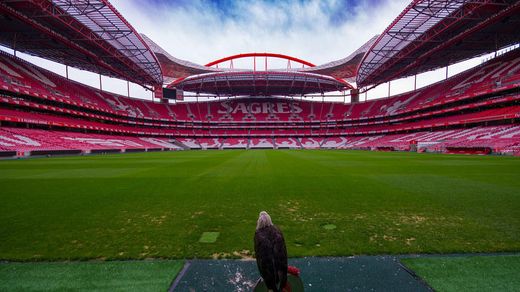 Estádio Sport Lisboa e Benfica