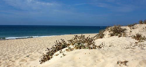 Praia de Faro