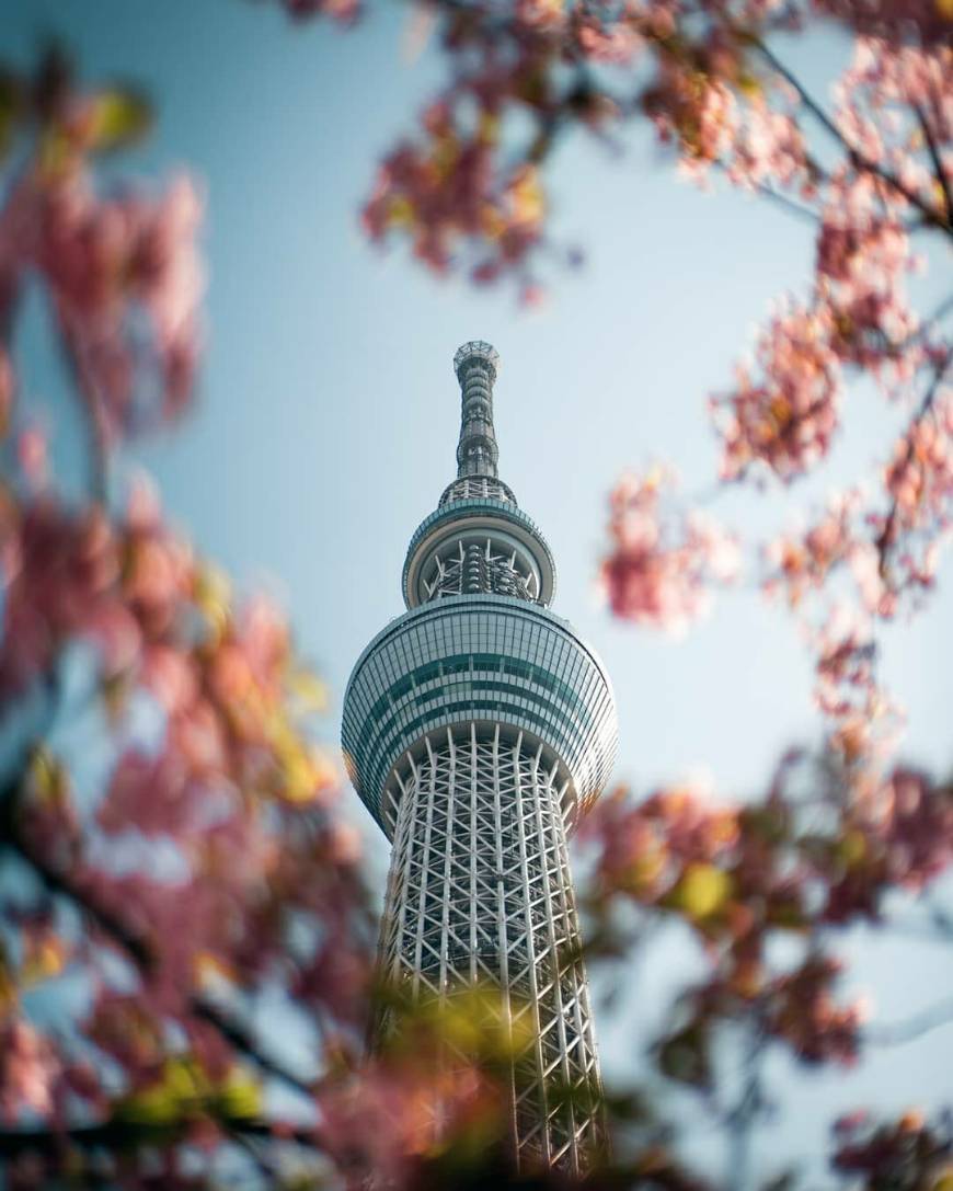 Place Tokio