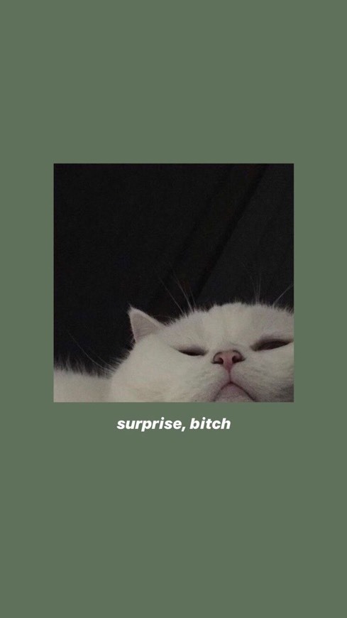 🥺😍