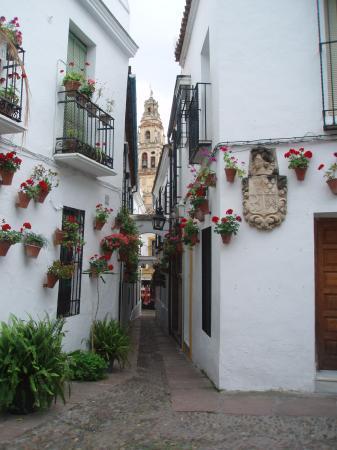 Lugar Calleja de las Flores