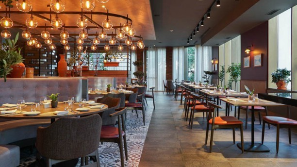 Restaurantes SOMOS Restaurant & Lounge