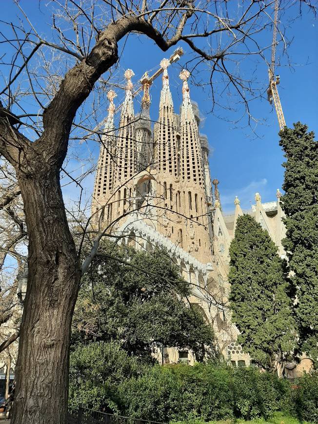 Lugar Basílica Sagrada Familia