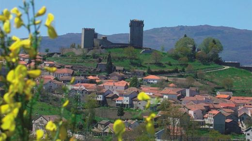 Montalegre