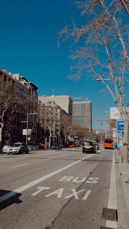 Place Passeig de Gràcia