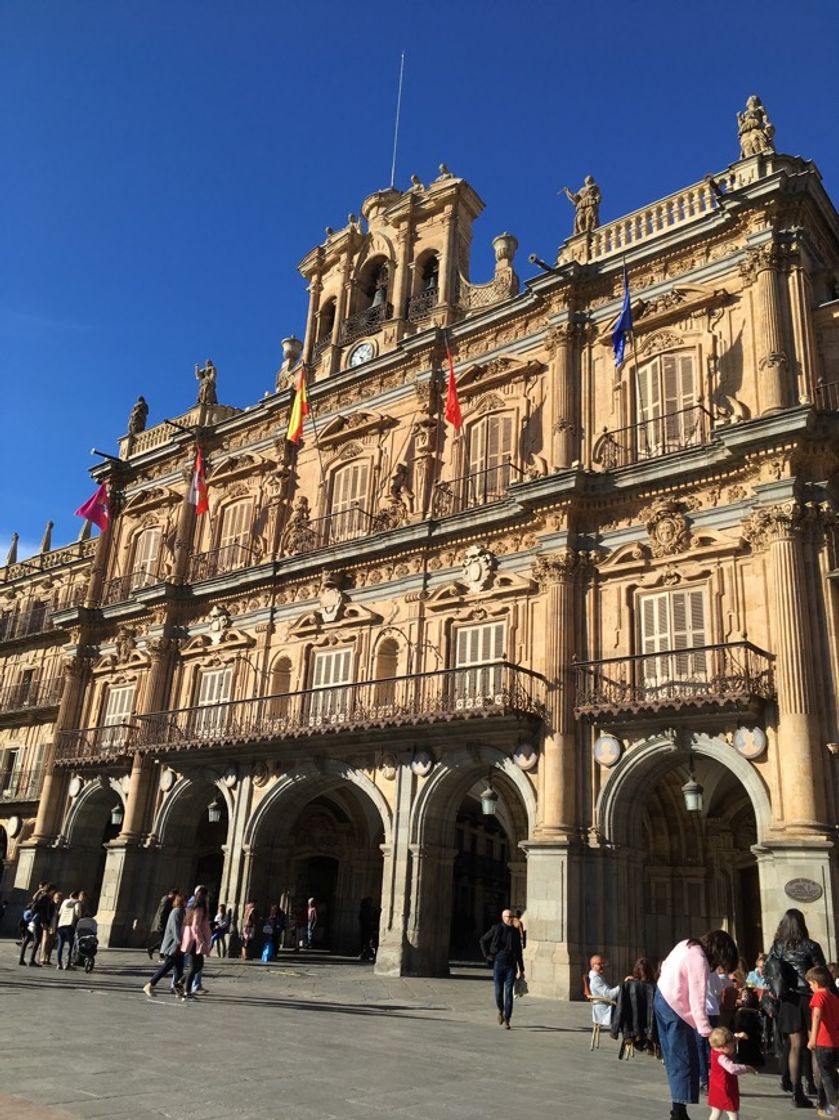 Place Plaza Mayor