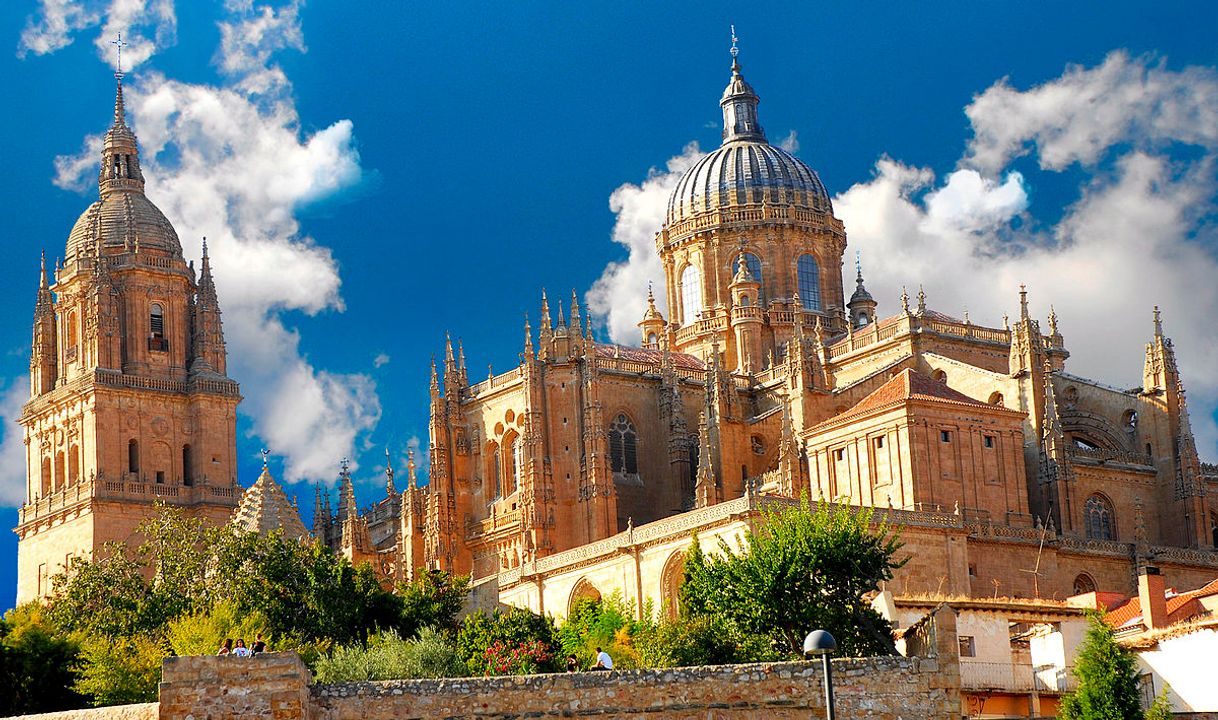 Lugar Catedral de Salamanca