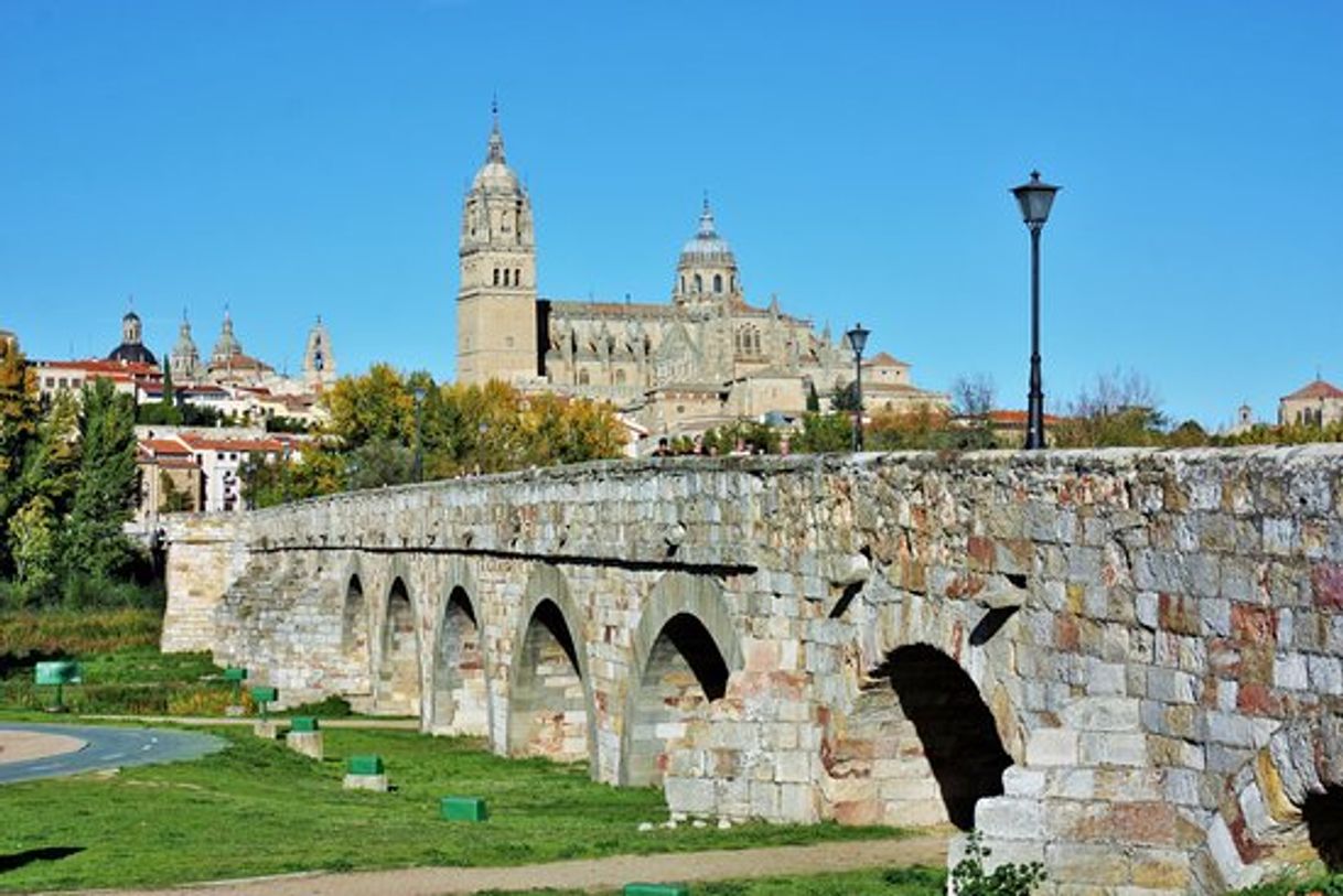 Lugar Puente Romano