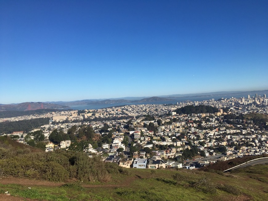 Place Twin Peaks