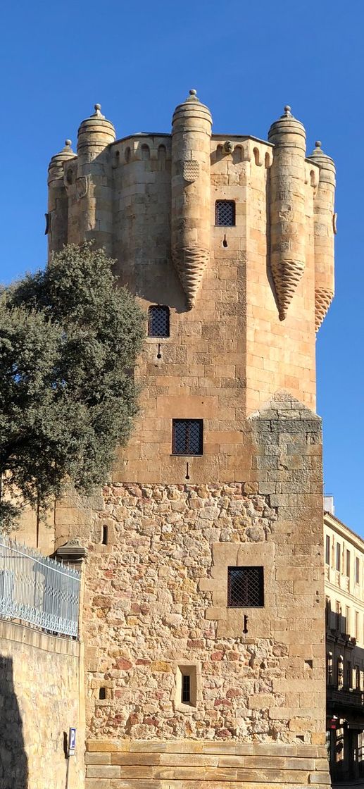 Place Torre del Clavero