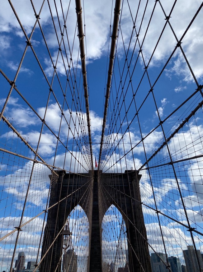 Place Brooklyn Bridge