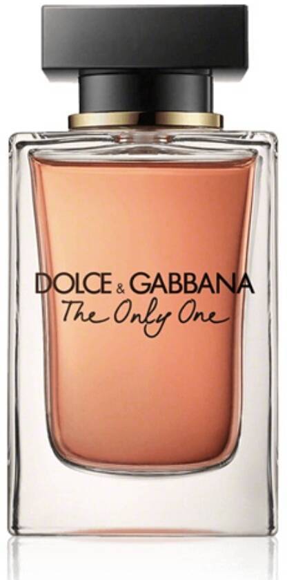 Social Dolce Gabbana The only one