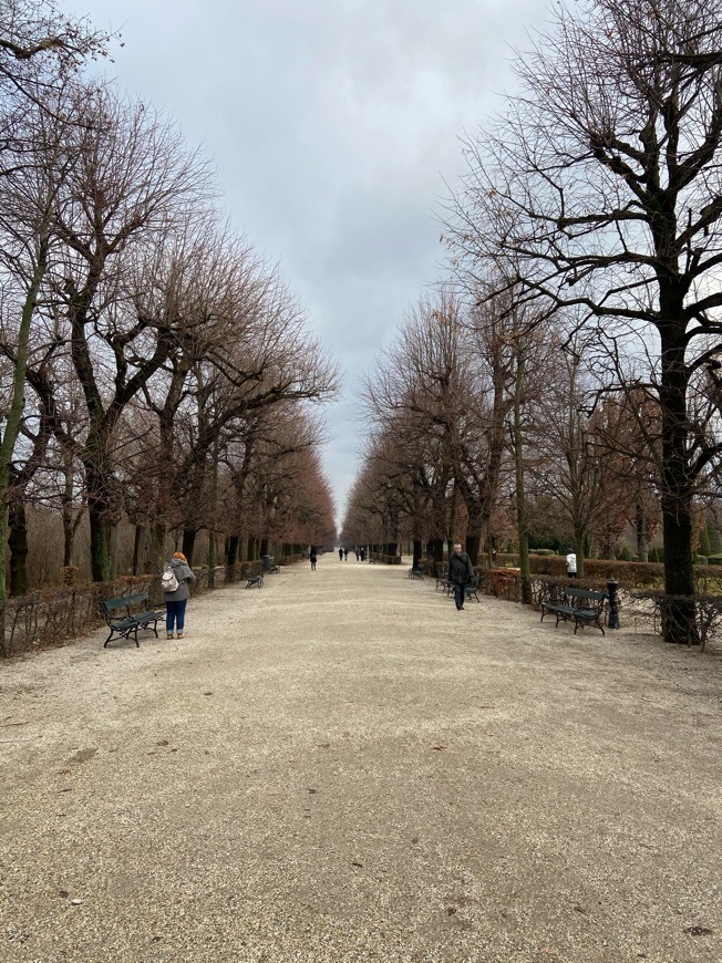 Lugar Schlosspark Schönbrunn