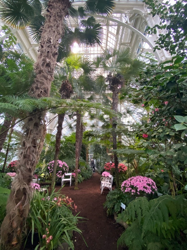 Lugar Palmenhaus