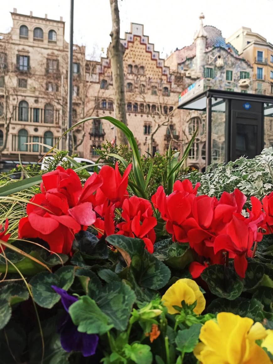 Place Casa Batlló