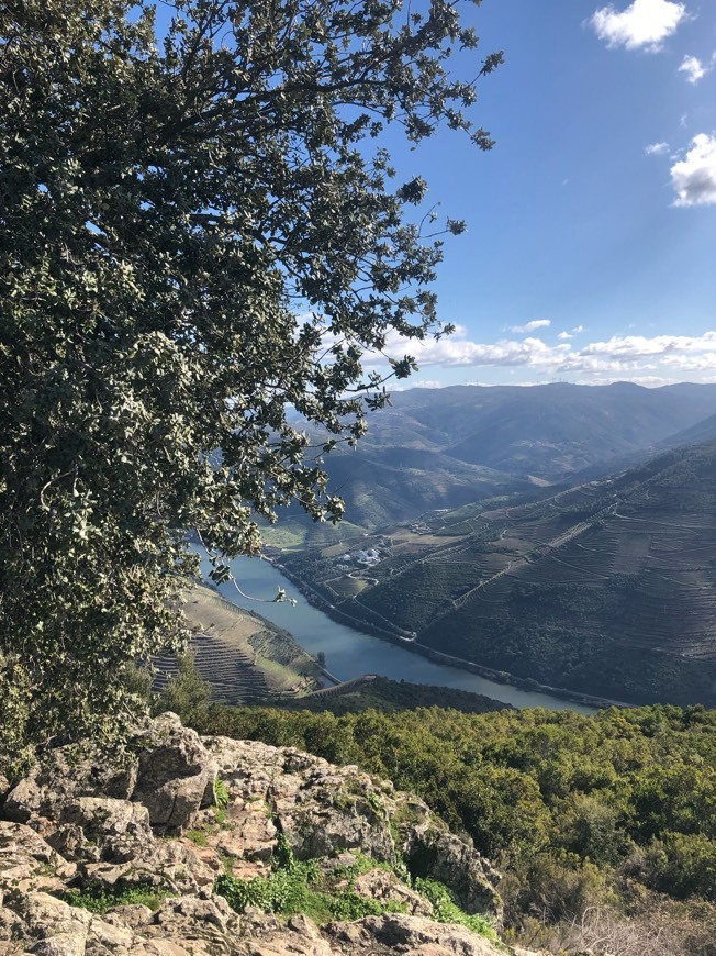 Lugar Douro