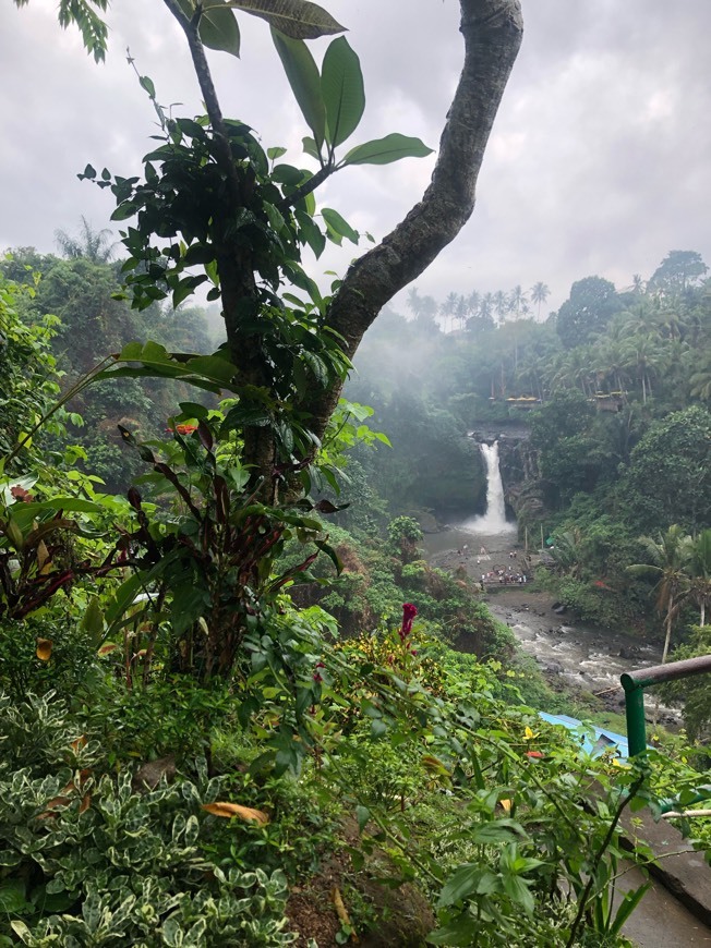 Lugar Ubud