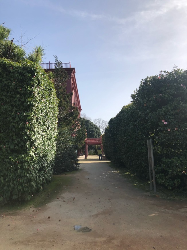 Place Jardín Botánico de la Universidad de Oporto