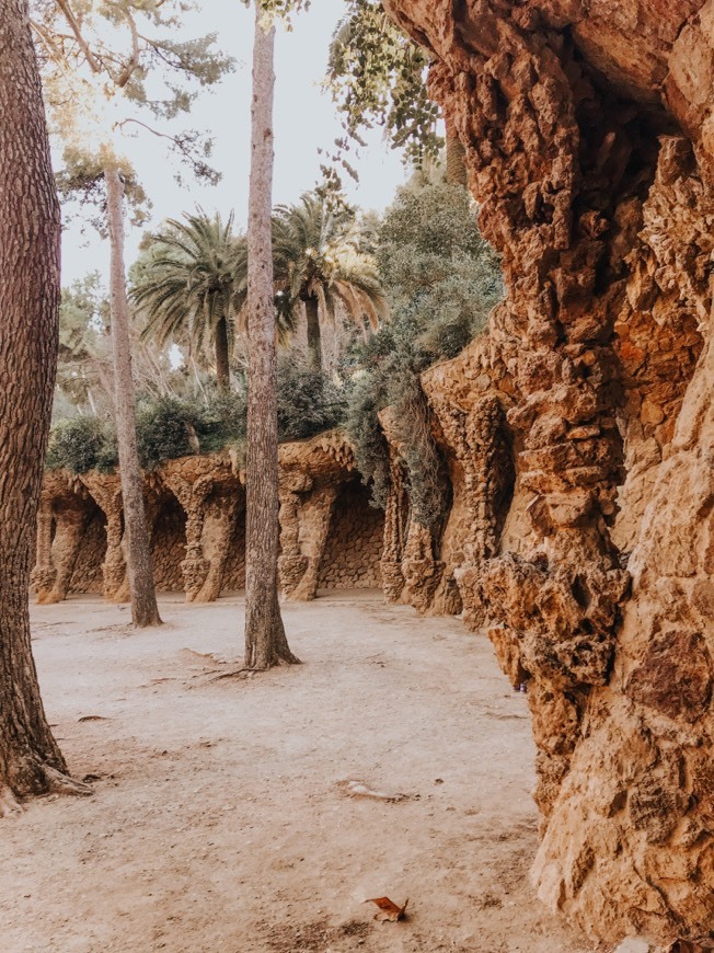 Lugar Parque Guell