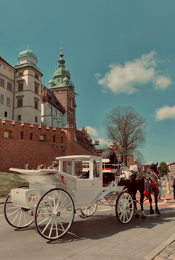 Places Wawel