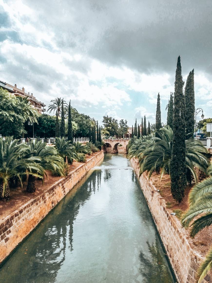 Place Palma de Mallorca