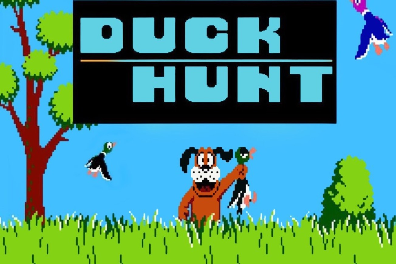 Fashion Duck Hunt