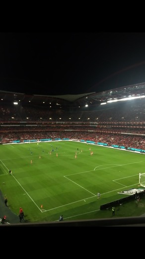 Estádio Sport Lisboa e Benfica