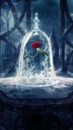 Beauty and the Beast Rose