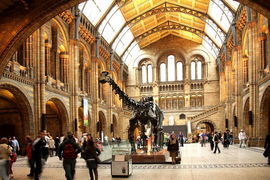 Natural History Museum