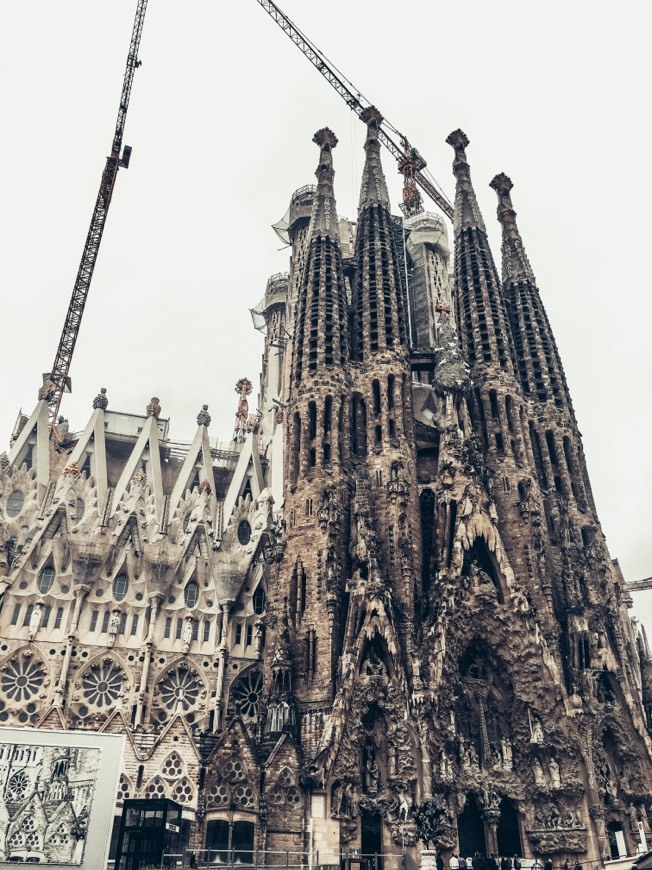 Lugar Basílica Sagrada Familia