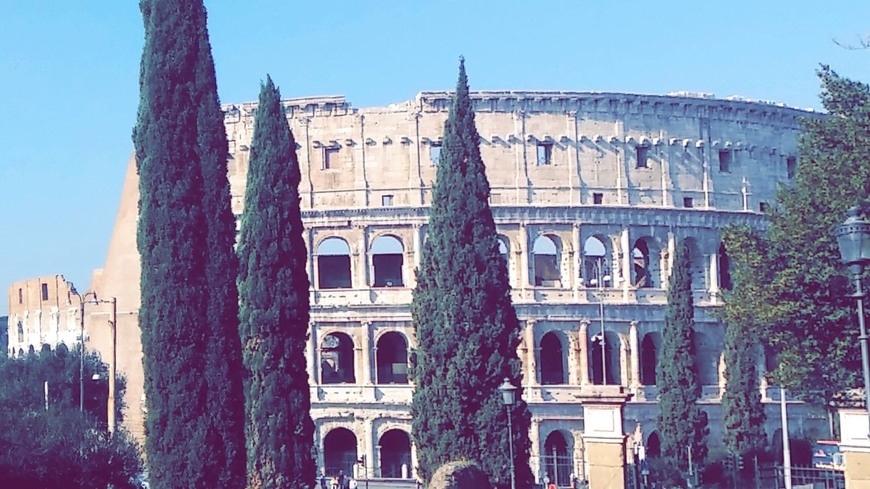 Lugar Coliseo de Roma