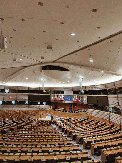 Parlamento Europeo