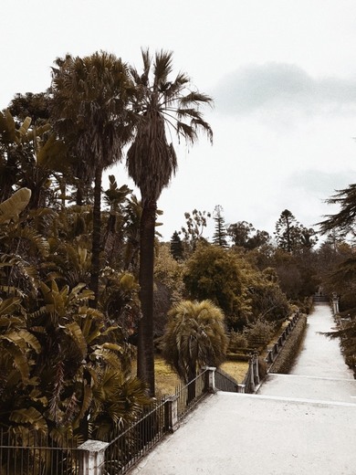 Jardim Botânico da Universidade de Coimbra