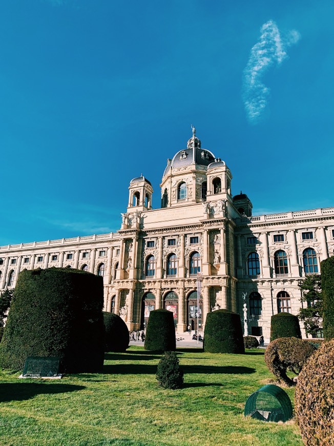 Lugares Hofburg Palace Silver Collection of Vienna