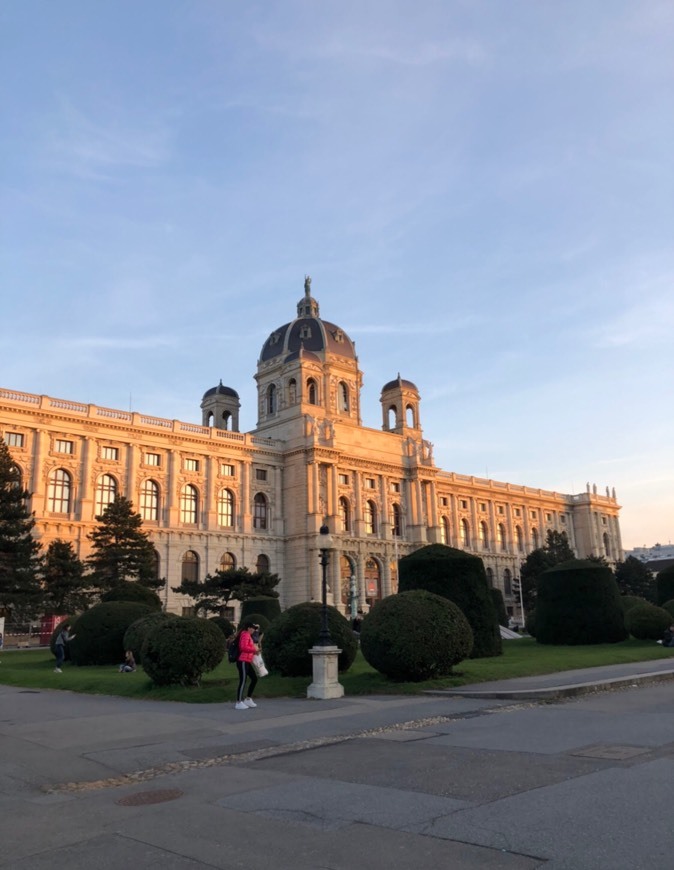 Lugar Centro histórico de Viena