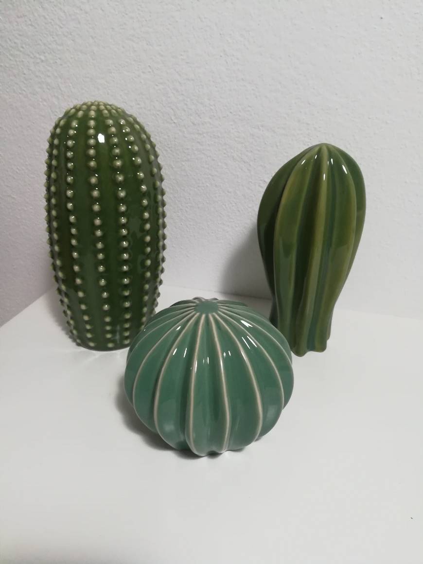 Products Conjunto cactus