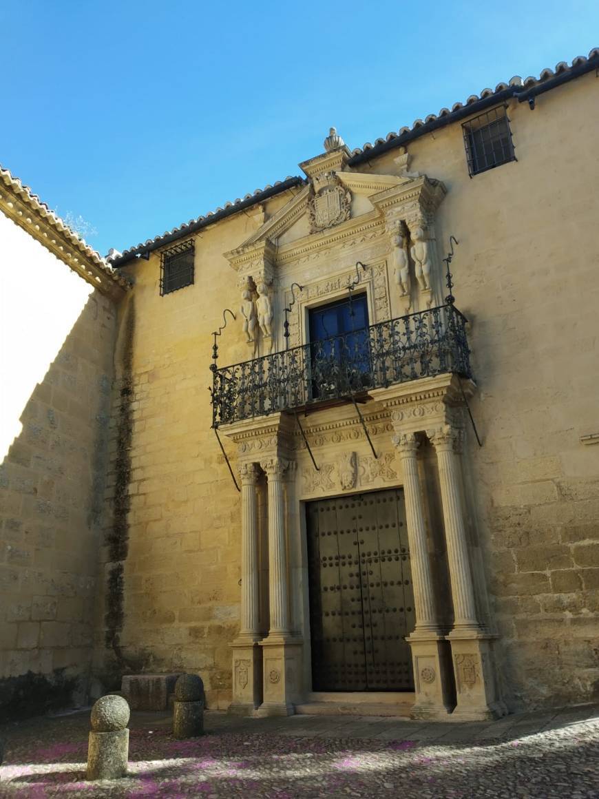 Places Palacio de Salvatierra